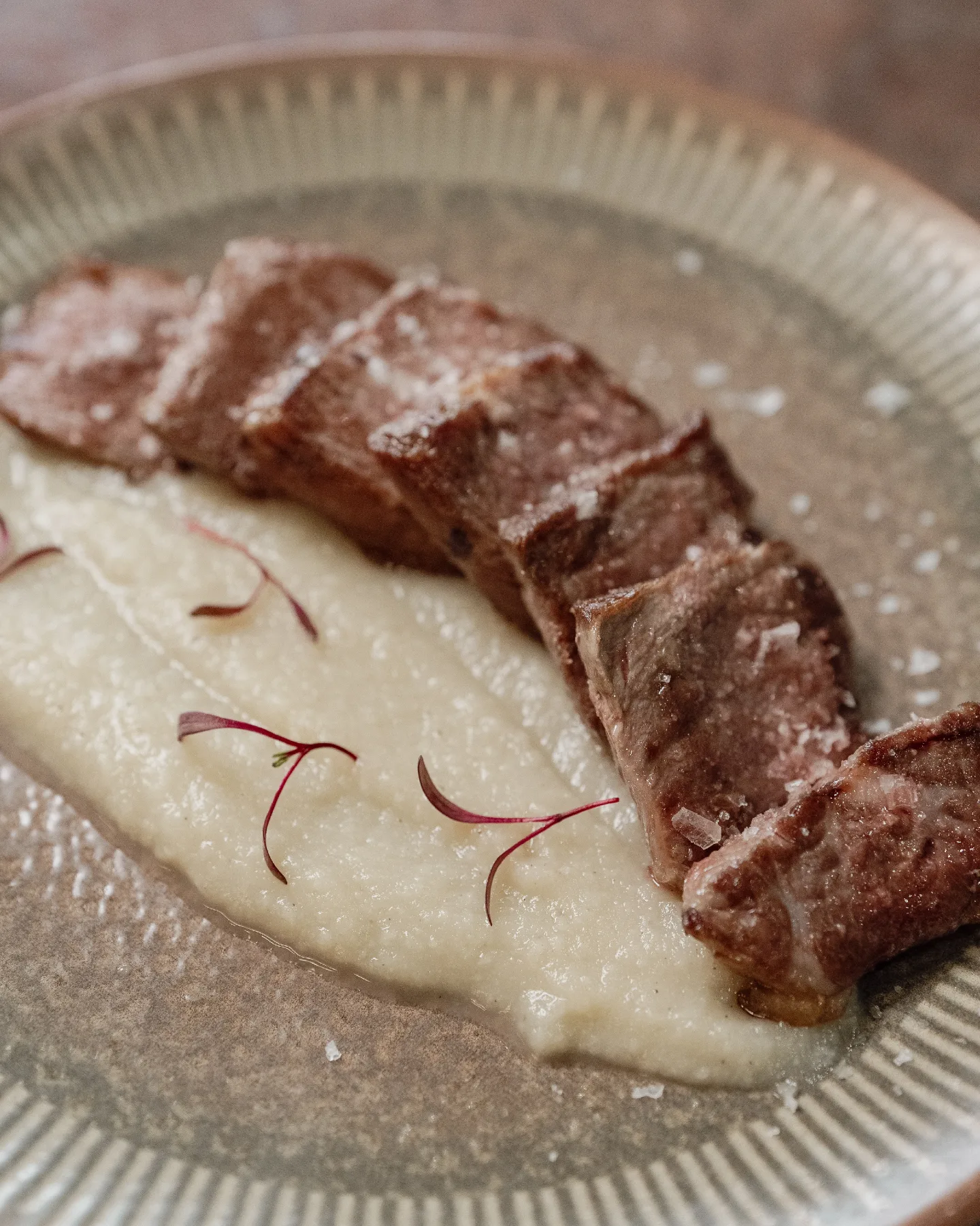 Presa ibérica de bellota con puré de apiobola, plato destacado en Salterra Jerez de la Frontera